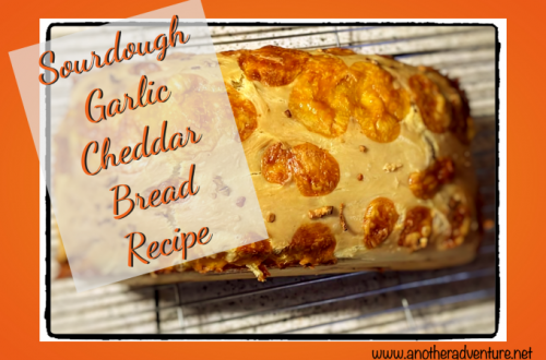 Sourdough Garlic Cheddar Bread Recipe