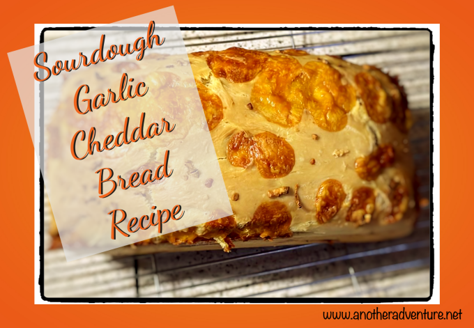 Sourdough Garlic Cheddar Bread Recipe